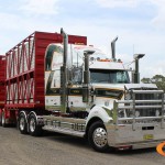 Richardson Western Star 4900FXT